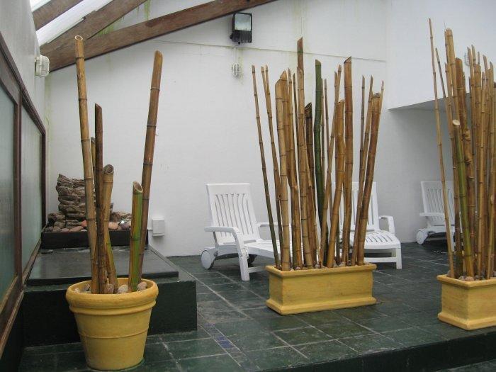 Club Sol Del Este Aparthotel ปุนตา เดล เอสเต ภายนอก รูปภาพ